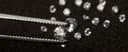 Loose Diamonds