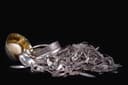 Silver Jewellery